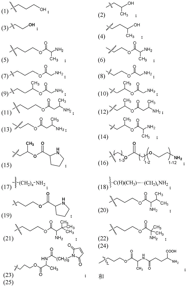 Figure BDA0003135424430001331