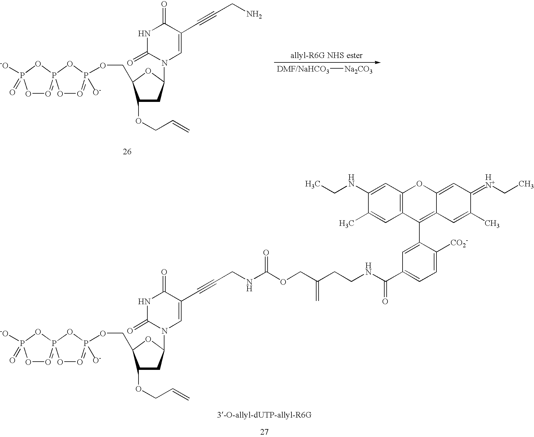 Figure US20100092952A1-20100415-C00004