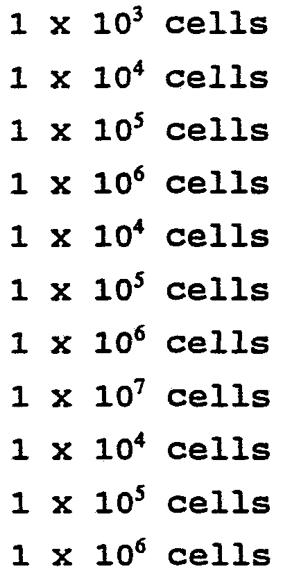 Figure imgf000056_0001
