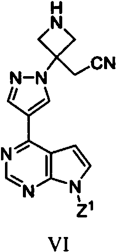 Figure imgf000005_0002