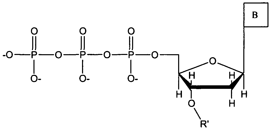 Figure imgf000056_0001