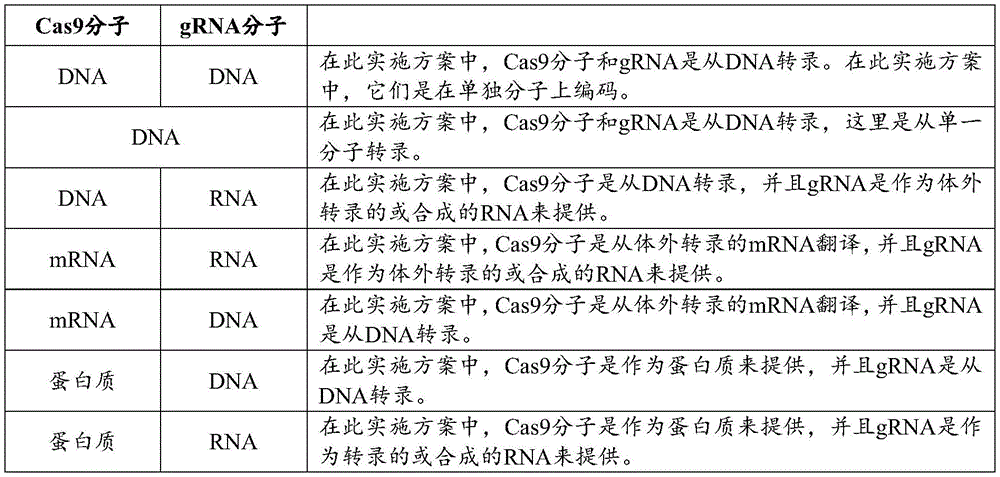 Figure BDA0003436311440000731