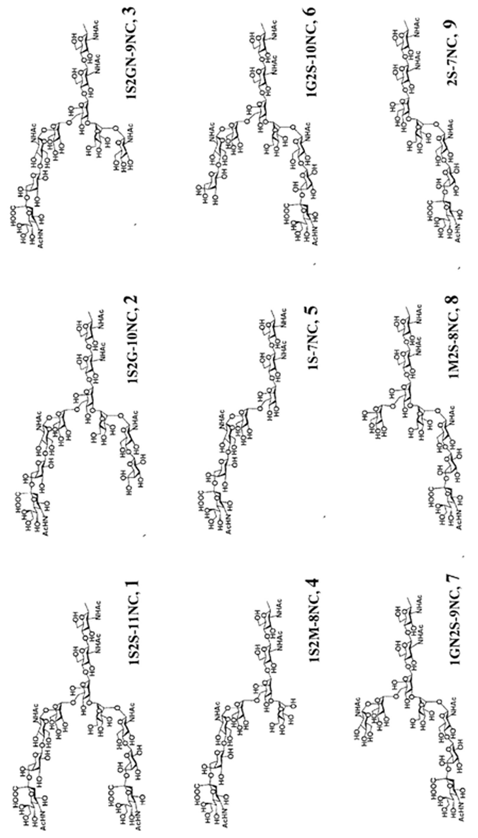 Figure 112015060219176-pct00024