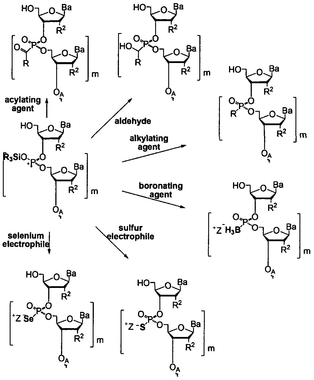Figure imgf000044_0002
