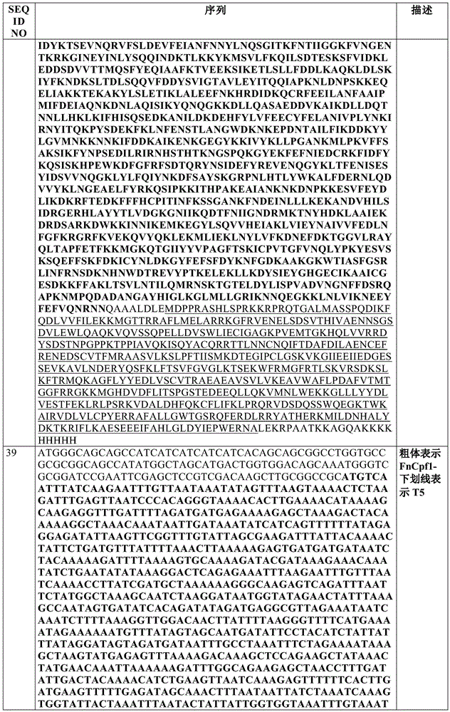 Figure BDA0002550795540001301