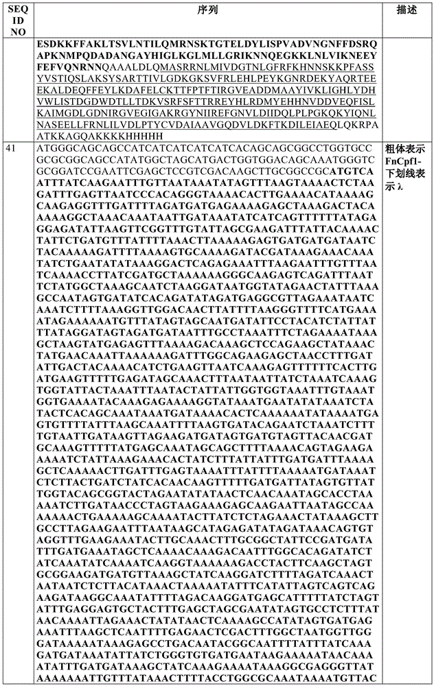 Figure BDA0002550795540001331