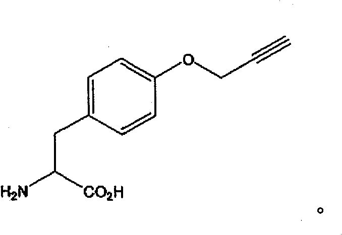 Figure BPA00001374088101631