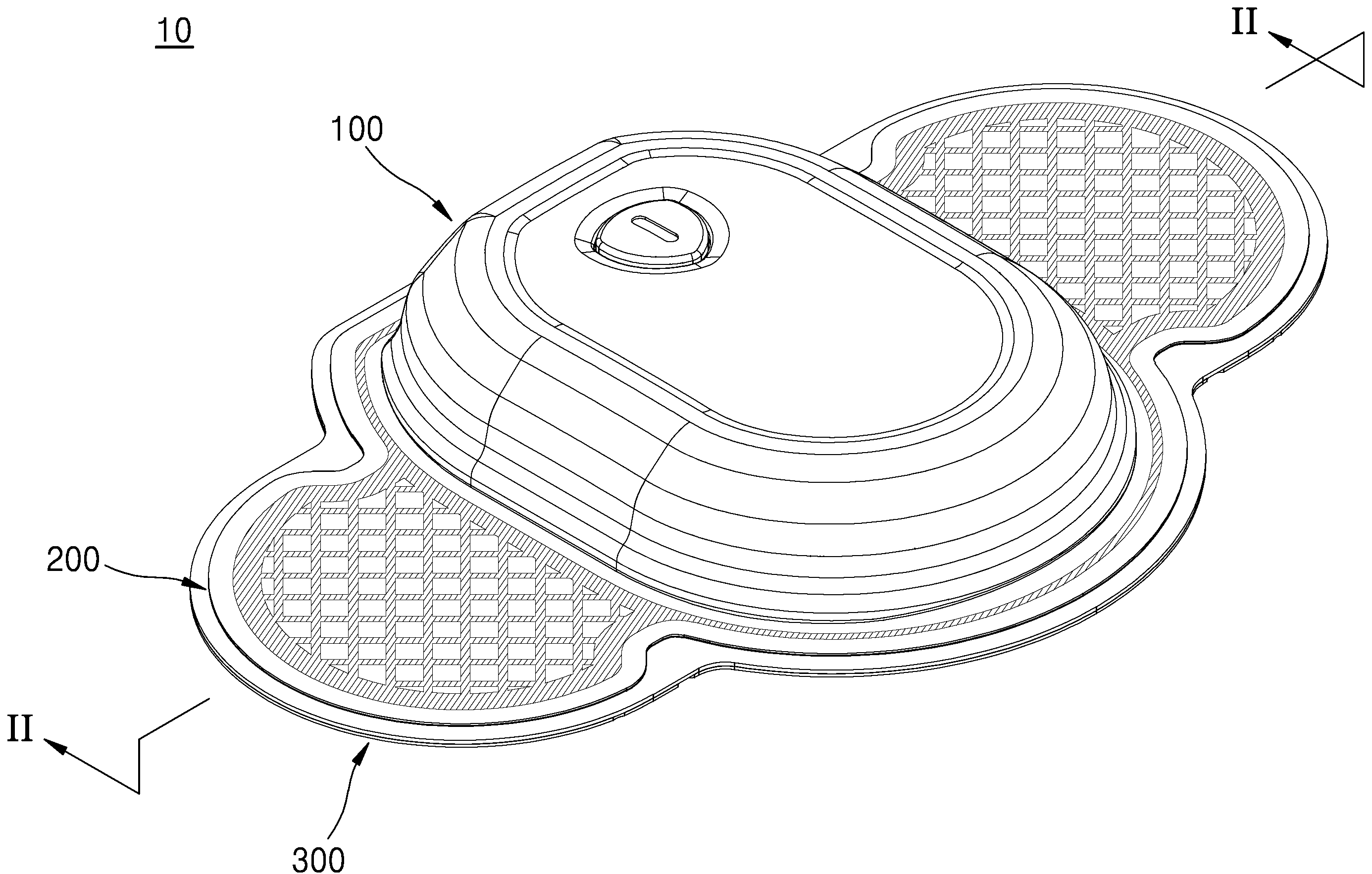 Figure R1020210087857