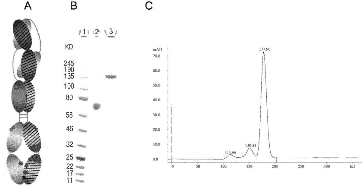 Figure P1020197004345