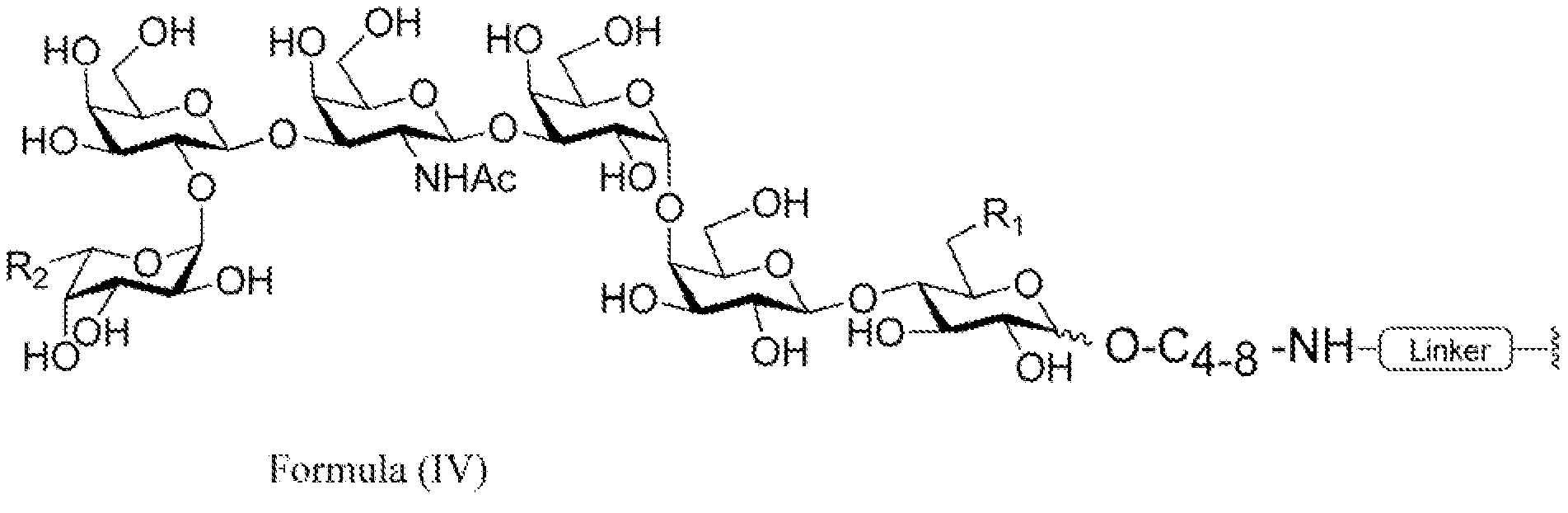 Figure imgf000005_0001