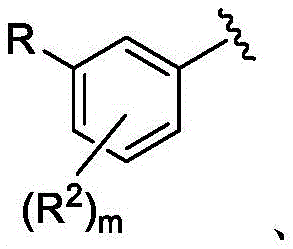 Figure BDA0002710254920000022