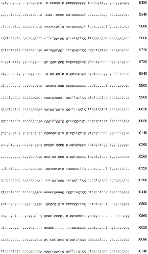 Figure IDA0002872168960001111