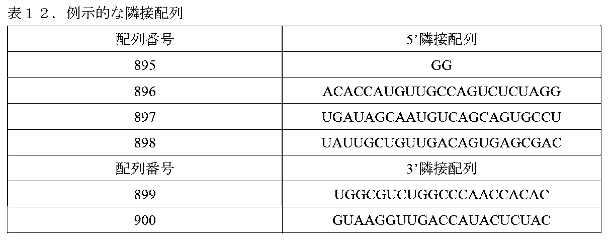 Figure 0007621461000079