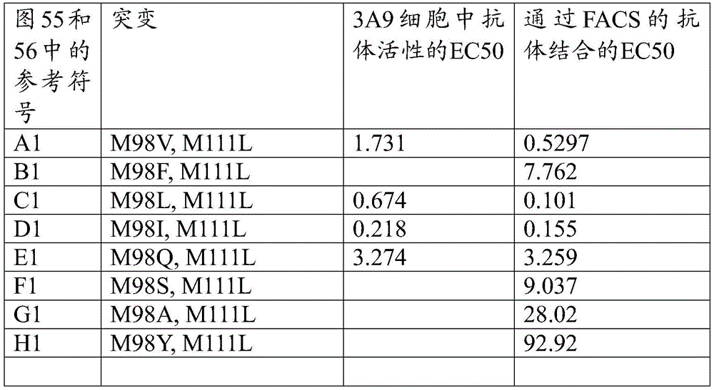 Figure BDA0001733121580001741