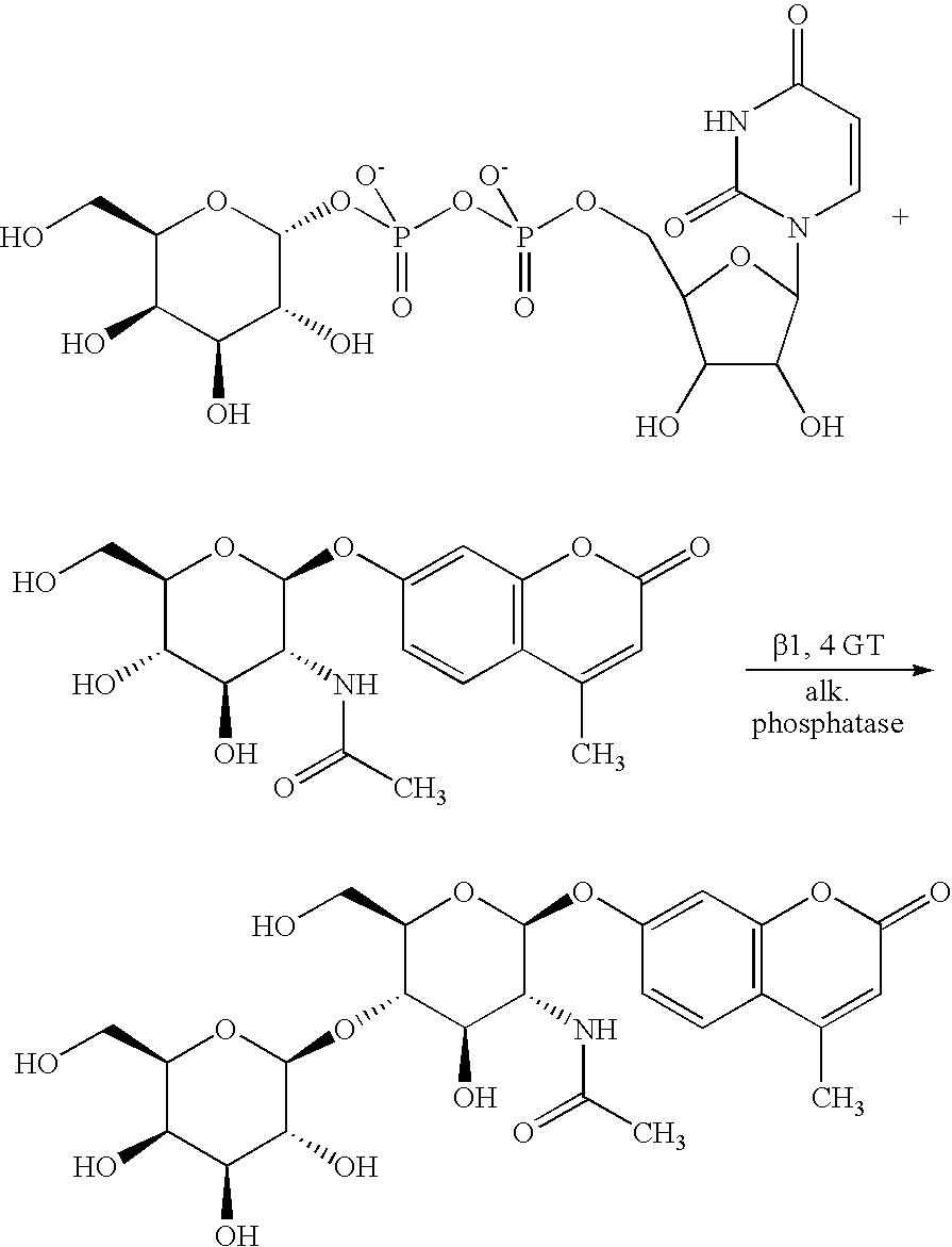 Figure US20080108557A1-20080508-C00084