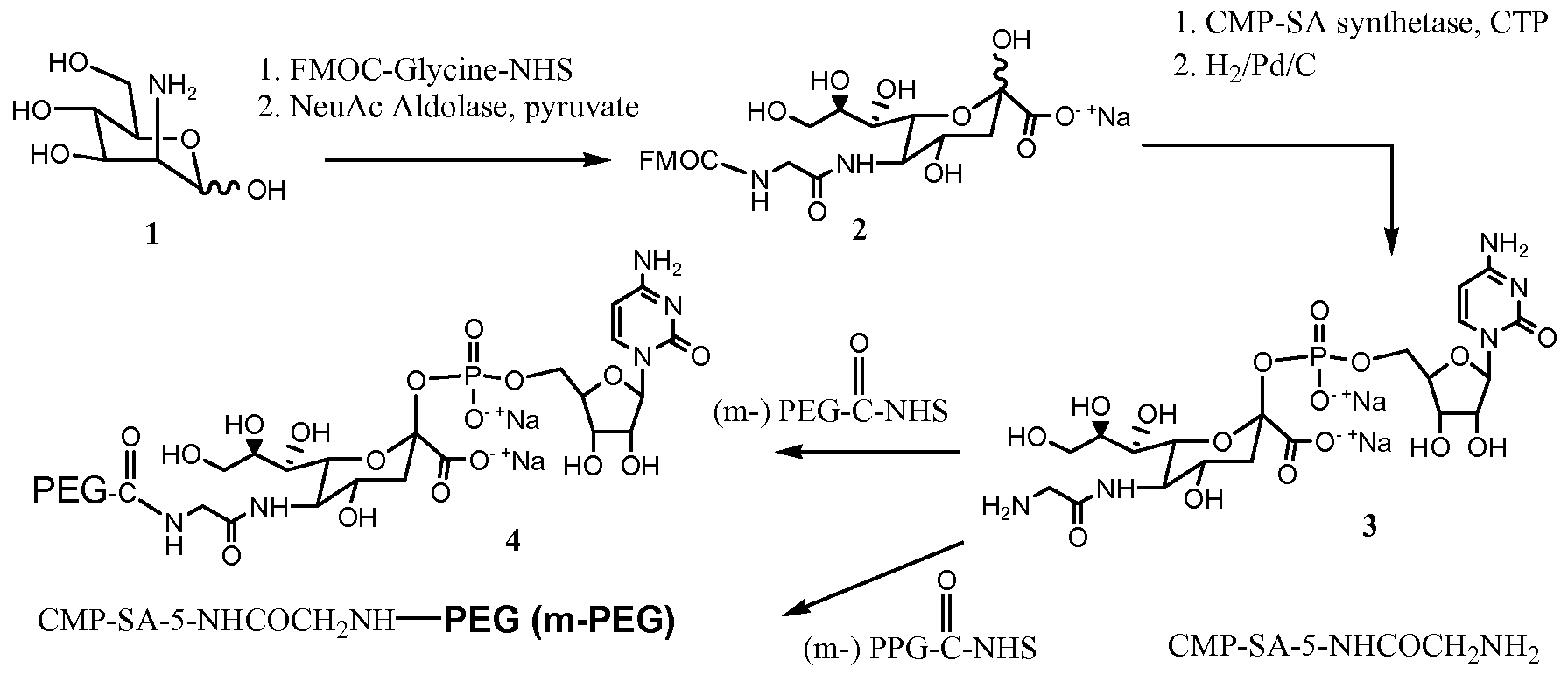 Figure imgf000118_0001