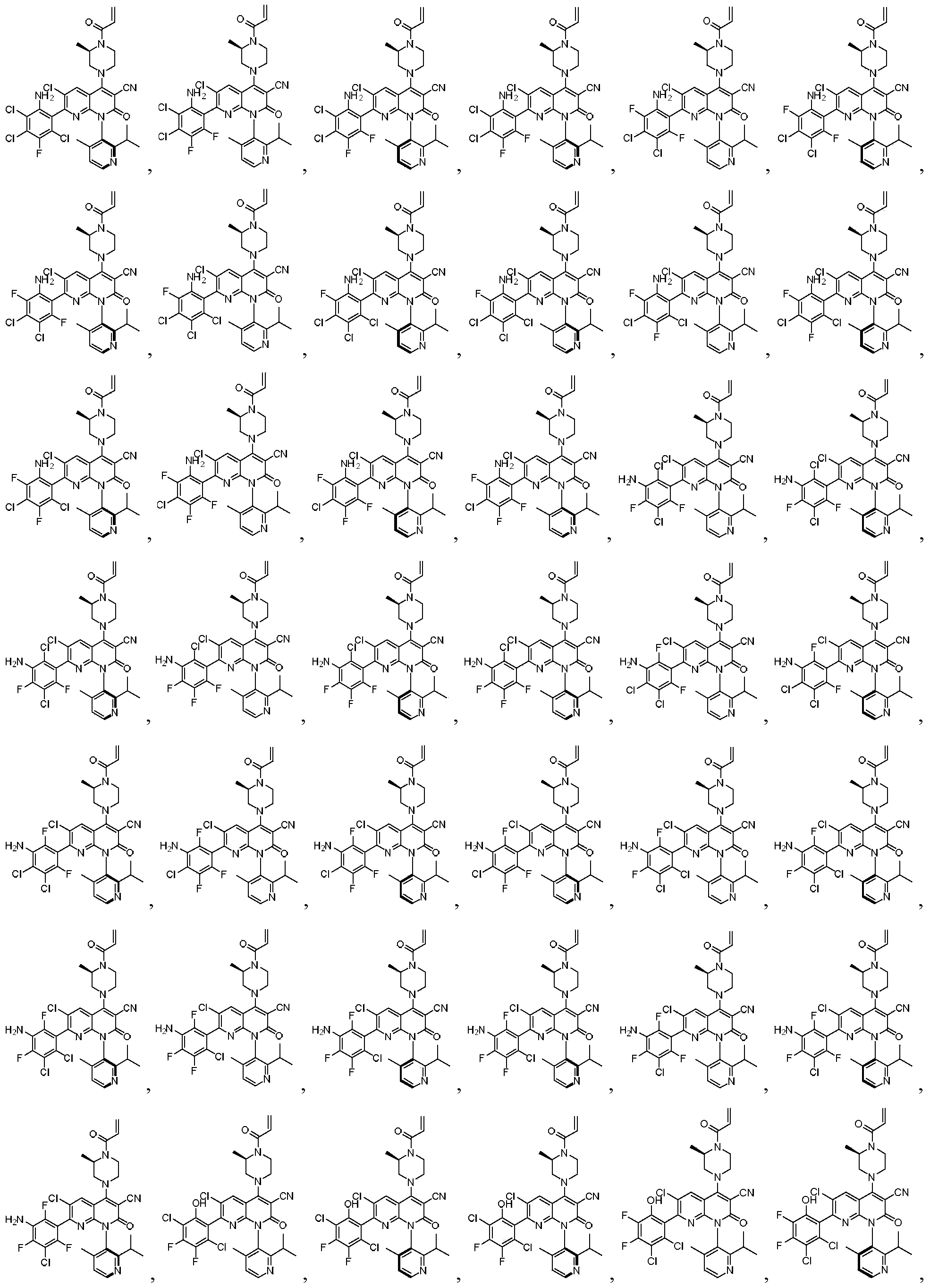 Figure PCTCN2020137497-appb-000053