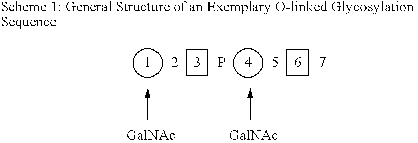 Figure US20080242607A1-20081002-C00004
