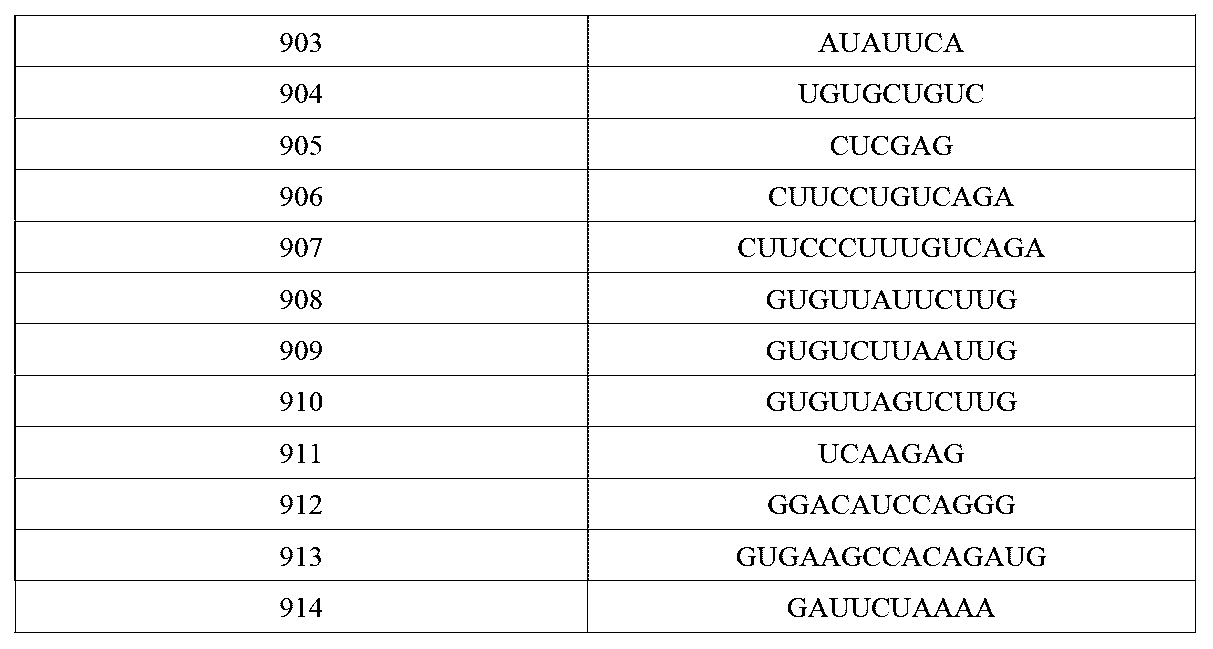 Figure 0007621461000081