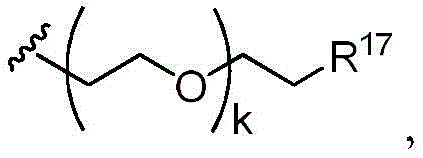 Figure BDA0001158533560000343