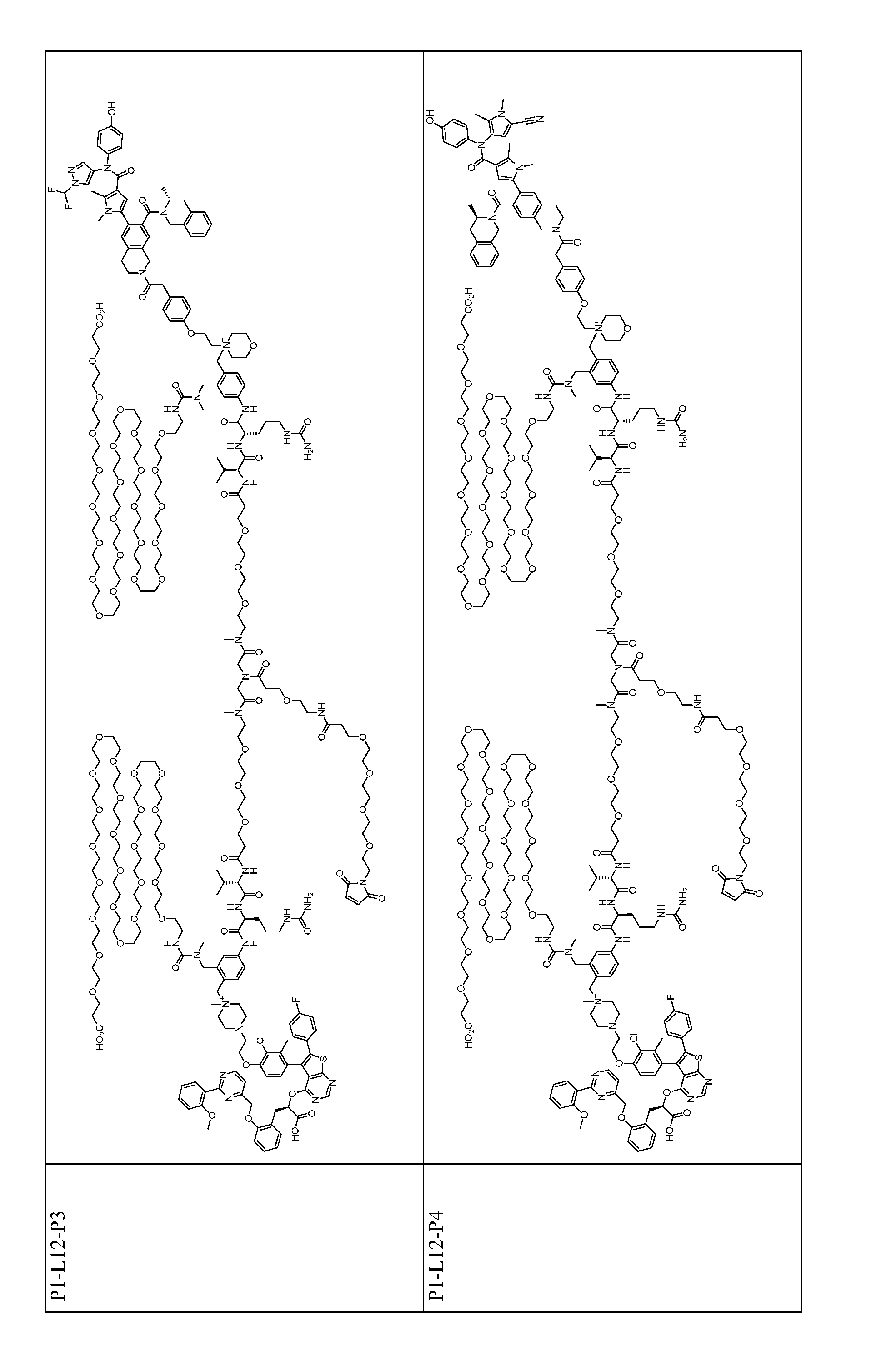 Figure imgf000139_0001