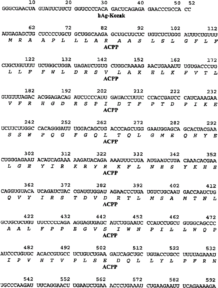 Figure BPA0000310332810000641