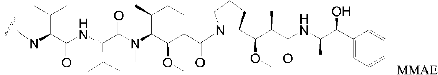 Figure imgf000024_0001