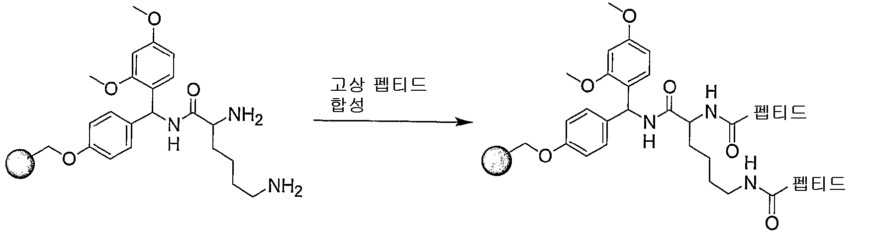 Figure 112005065158161-pct00025