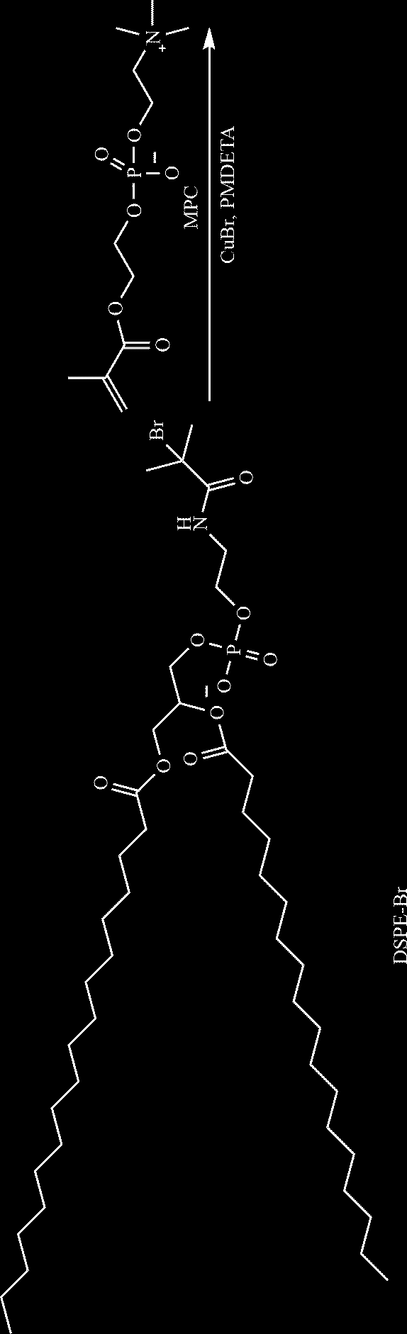 Figure US20230151129A1-20230518-C00014