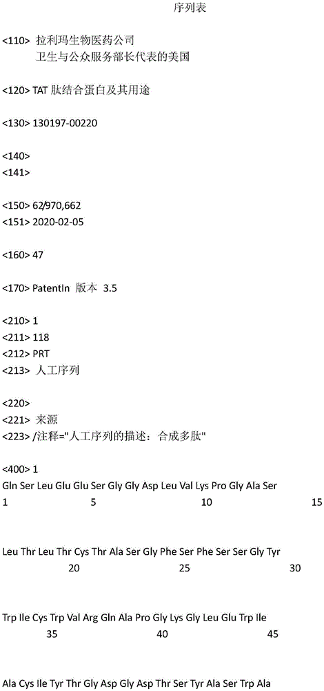 Figure IDA0003871364360000011