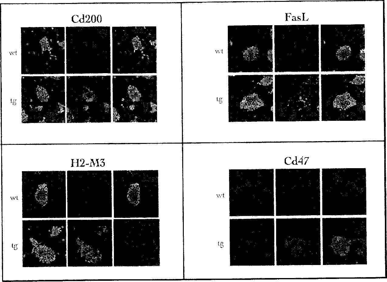 Figure 112020001961430-pct00124