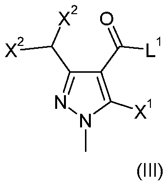 Figure imgf000010_0002