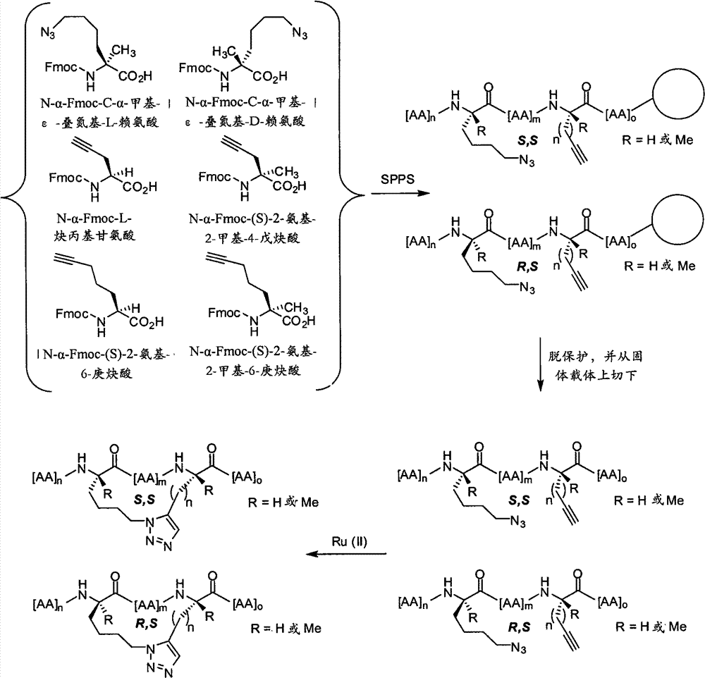 Figure BPA00001545839400411