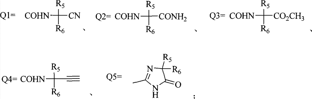 Figure S2008100571021D00043