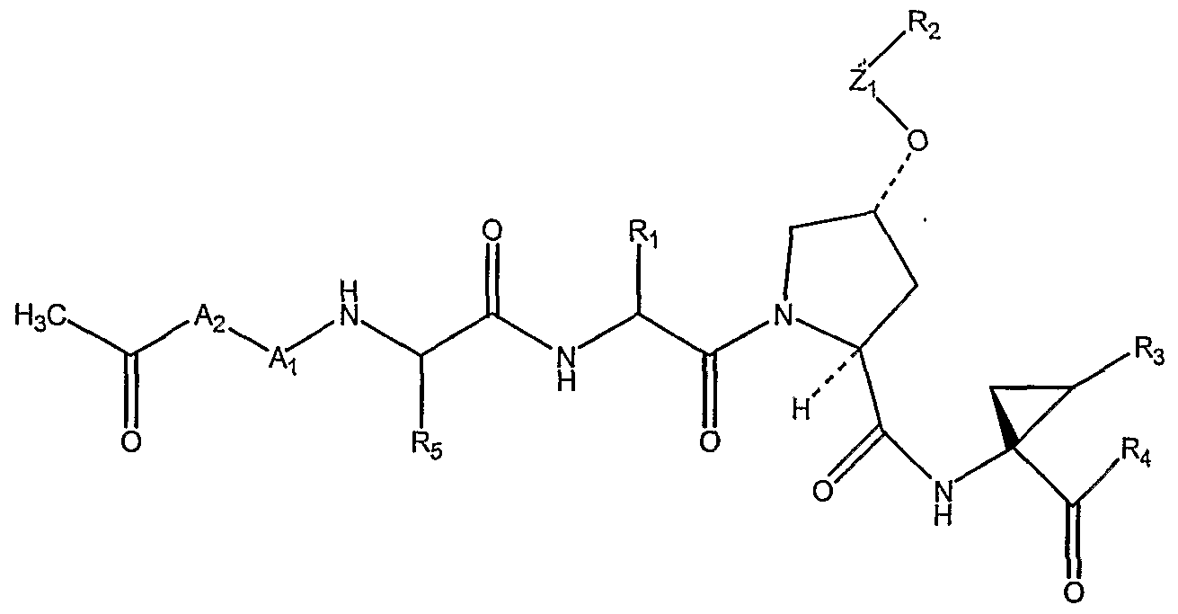 Figure imgf000005_0001