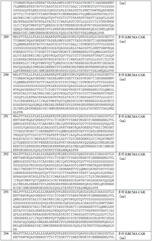 Figure BDA0003980595070001741