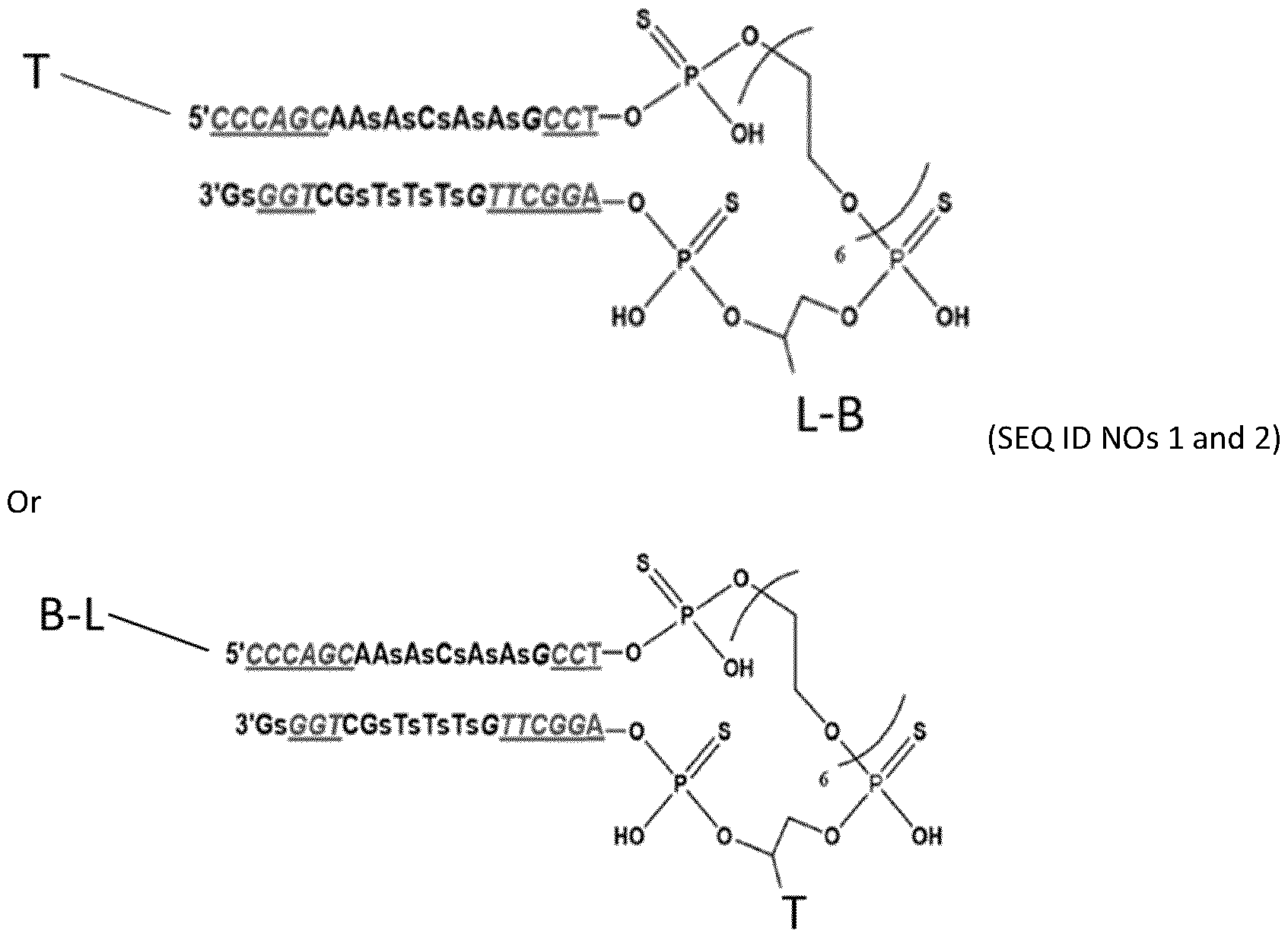 Figure imgf000005_0001