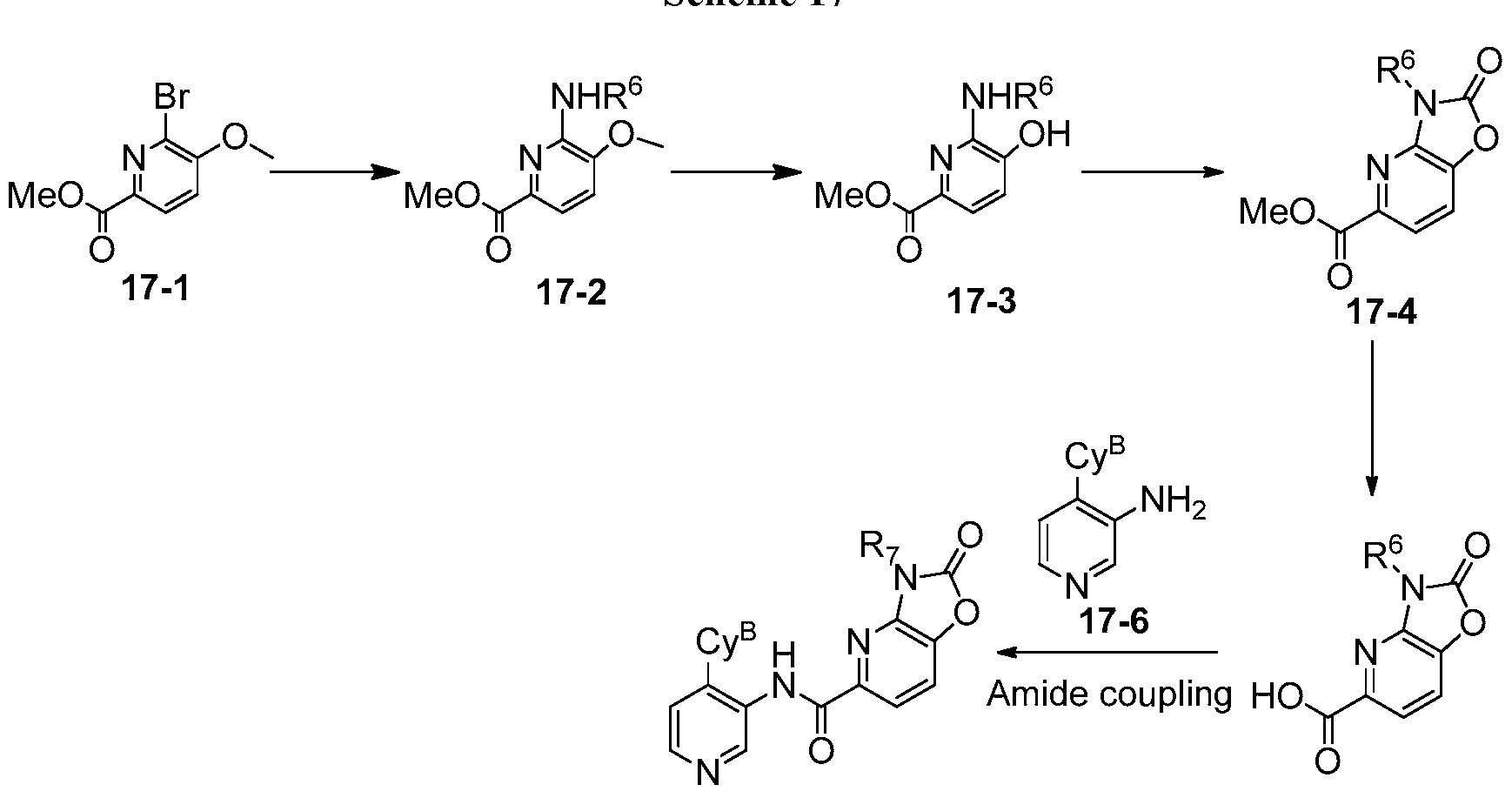 Figure imgf000071_0001
