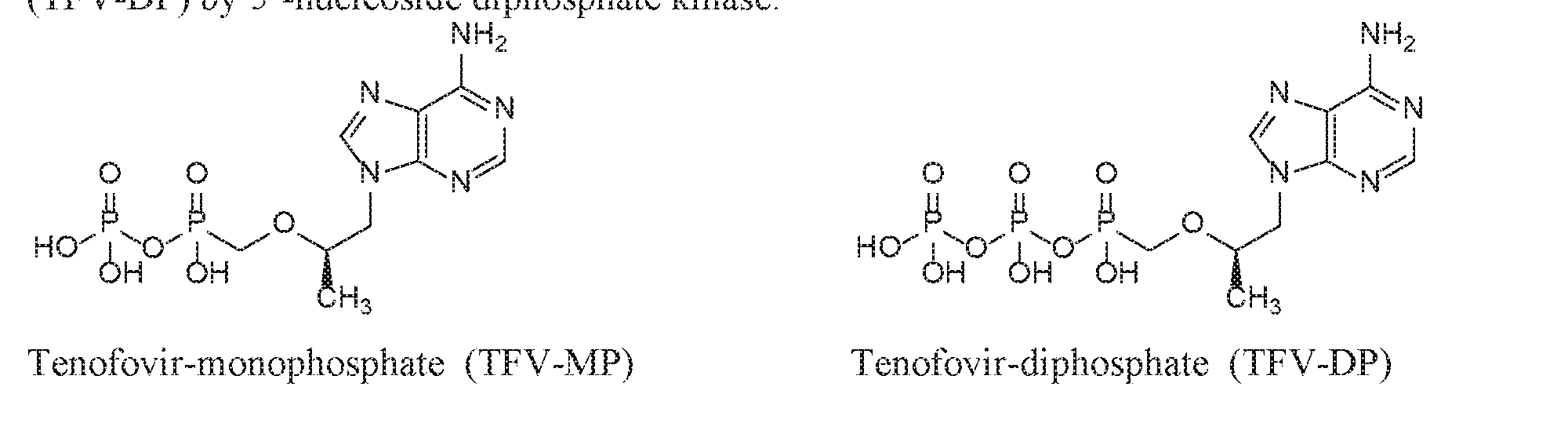 Figure imgf000003_0001