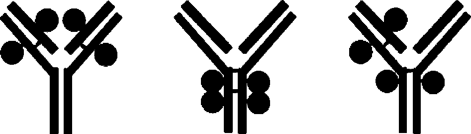 Figure AU2016286898A1_D0016