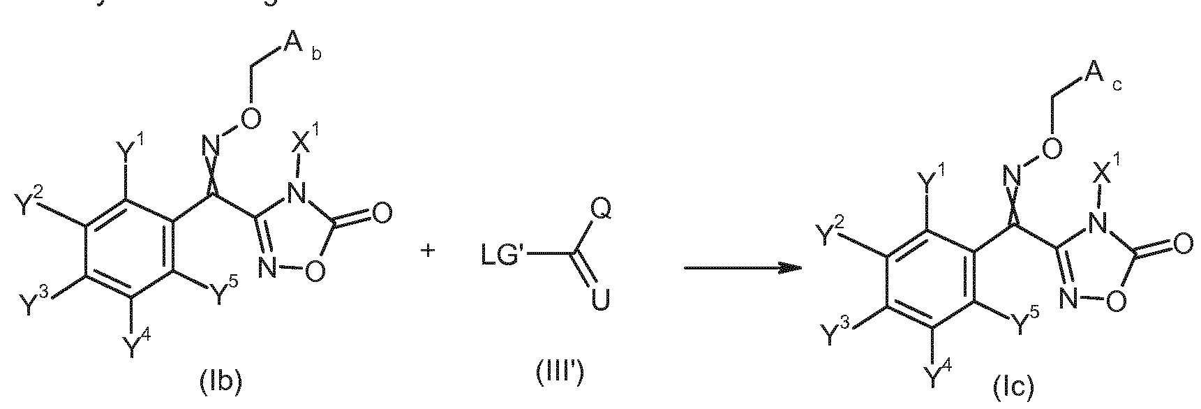Figure imgf000011_0001