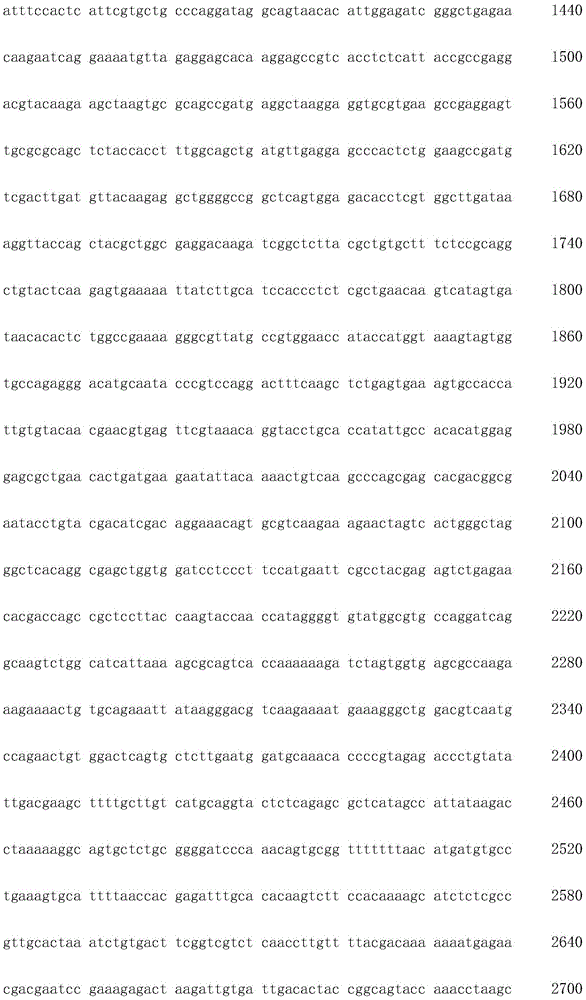 Figure IDA0002872168960000711