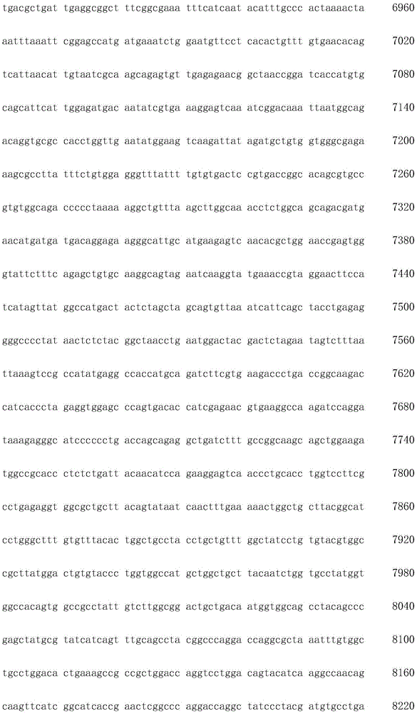 Figure IDA0002872168960002101