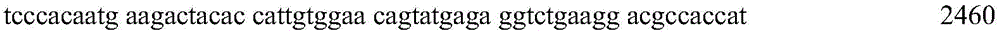Figure GDA0004072109420000362