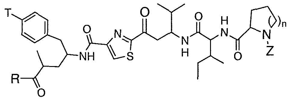 Figure imgf000011_0001