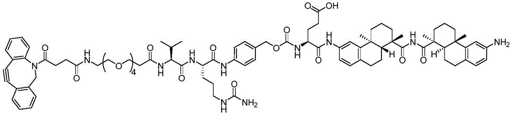 Figure BDA0003169092350001951