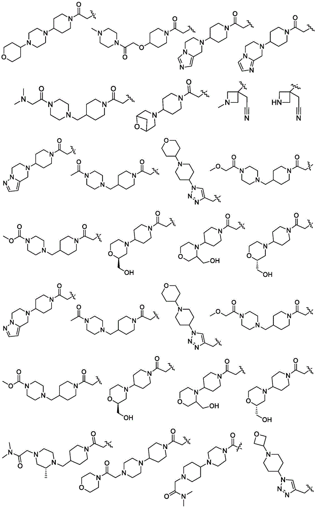 Figure BDA0002198914050000381