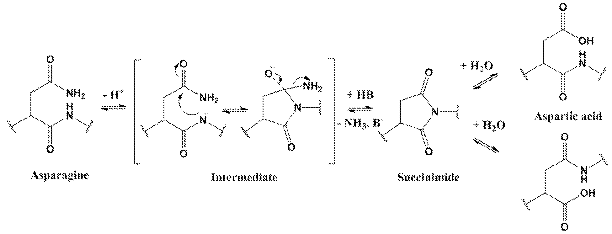 Figure imgf000027_0001