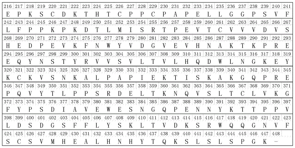 Figure BDA0002336612250000521