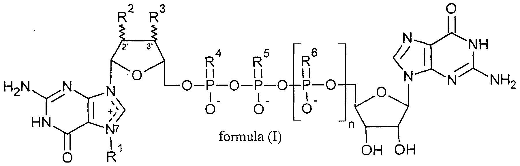 Figure imgf000005_0001